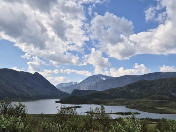 20250723_161441_resized